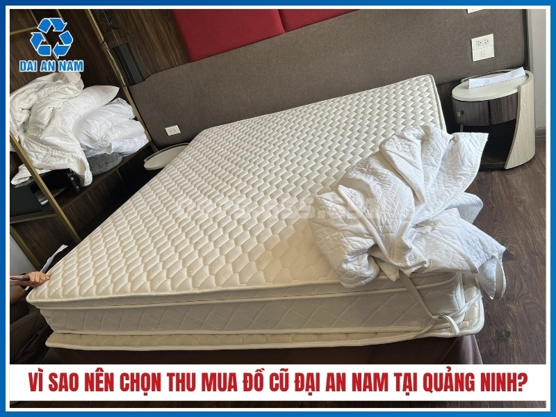Vì sao nên chọn Thu Mua Đồ Cũ Đại An Nam tại Quảng Ninh?